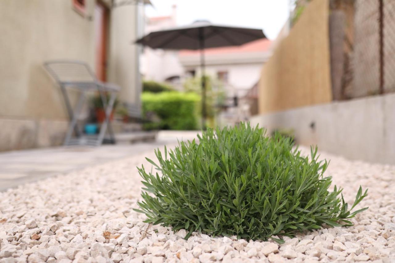 Apartment And Room Mare Zadar Exterior foto